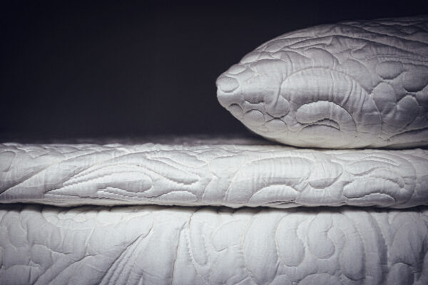 Posh and Lavish 2" Latex Pillowtop