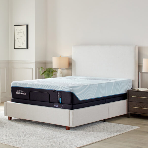 Tempur- Pedic ProAdapt 2.0 Soft