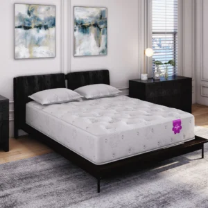 PranaSleep Dharma Elite Plush